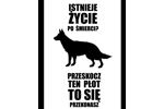 życie po śmierci